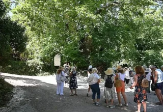 Kemer’de “Mor turizm” başladı