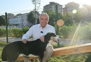 Nilüfer’de can dostlar yeni yuvalarına kavuştu