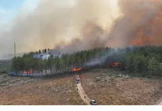 Antalya’da 4 farklı noktada orman yangını çıktı