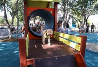 Bakırköy’ün İkinci Pati Parkı Açıldı