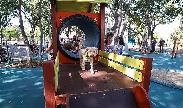Bakırköy’ün İkinci Pati Parkı Açıldı