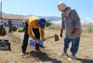 Büyükşehir’in tarım destekleri üreticiyi sevindirdi
