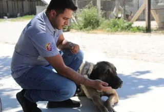 Efes Selçuk’ta “Satın Alma Sahiplen” Çağrısı