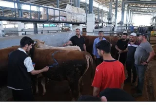 Hayvan Pazarları İkinci Bir Emre Kadar Kapatıldı