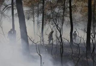 İBB’den Bursa’daki orman yangınına acil destek