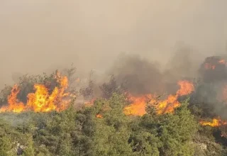 Komşudaki yangına çok sayıda araç ve ekiple müdahale