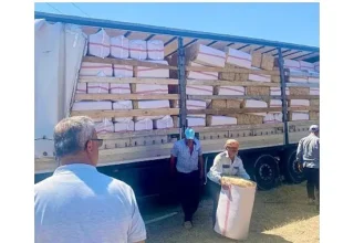 Urla Belediyesinden Zeytineli’ne 19 Ton Saman Desteği