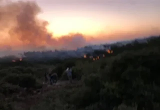 Urla’da yangın kontrol altına alındı