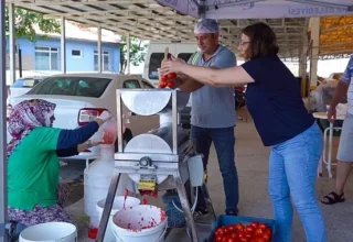 Ayvalık’ta Salça Zamanı Başlıyor!