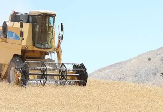 Halkın toprağından halkın sofrasına halk ekmek
