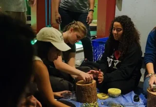 Ayvalık’ta Uluslararası Gençlik Projesi Kapsamında Zeytin Kültürü Deneyimi