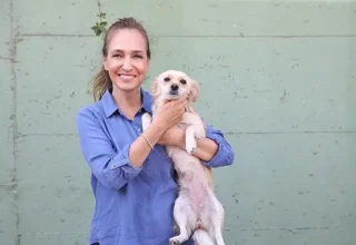Karşıyaka’da can dostlar için 25 ton mama toplandı